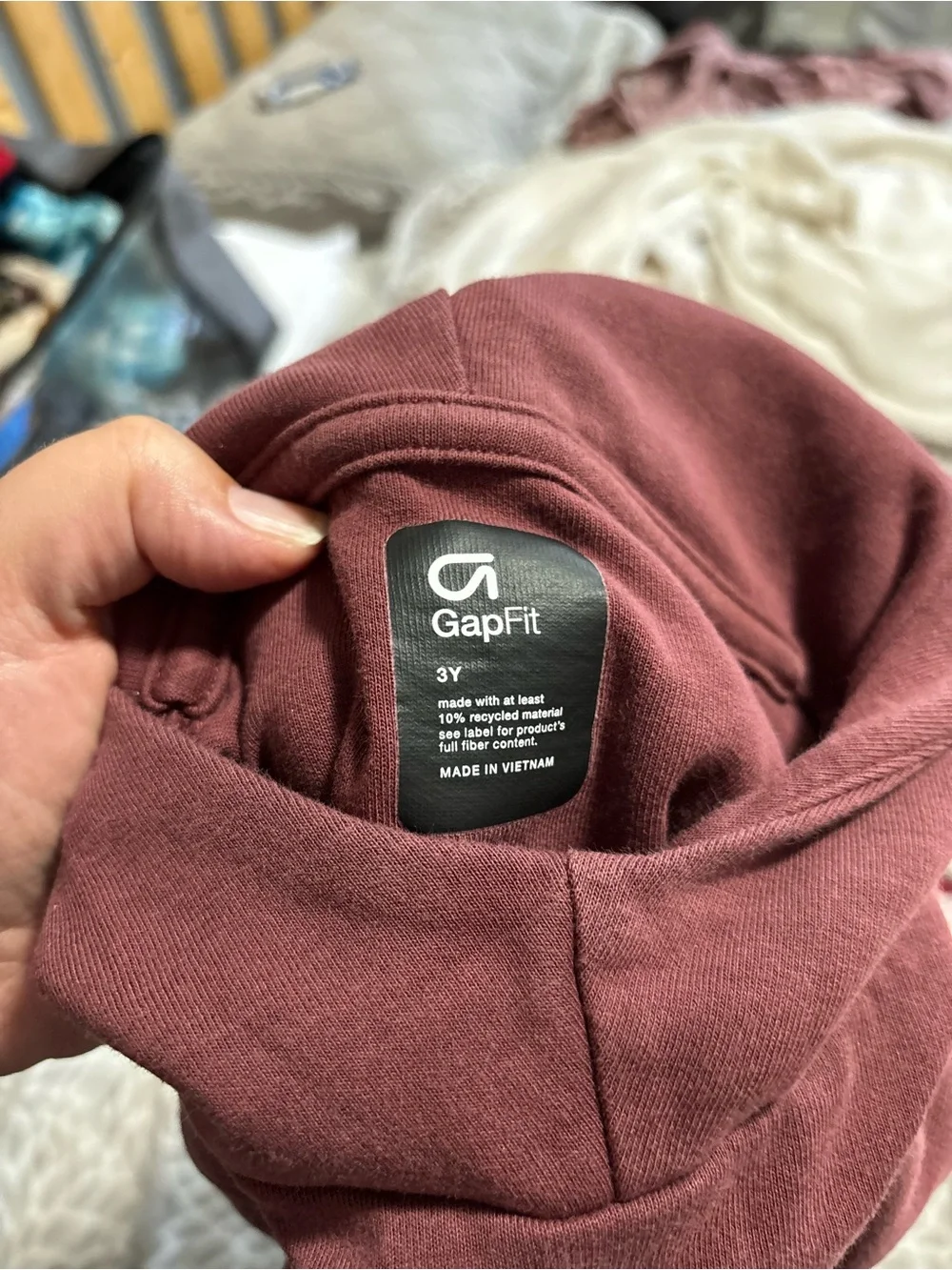 Gap 3T Long Sleeve Hoodie with Embossed Dinosaur - Burgundy